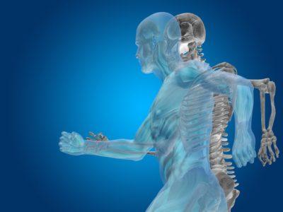 5 Bone-Building Foods That You Should Be Eating