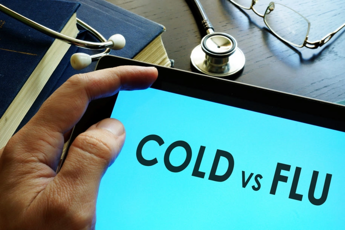 Cold vs. Flu & How to Naturally Boost Immunity