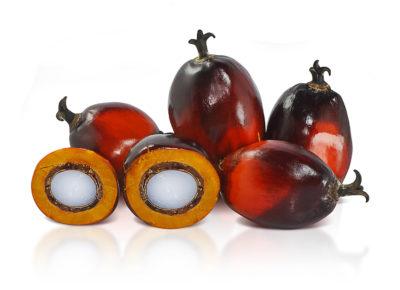 Red Palm Oil & Its Incredible Brain Boosting Powers