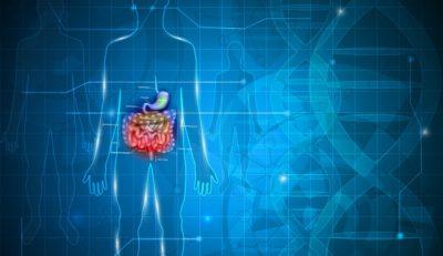 The Link Between Gut Health and Your Overall Health